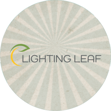 lightning-leaf
